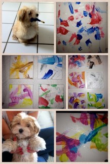 Key Biscayne Pet Training- Dog Painter and his paintings